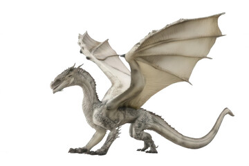 Fototapeta premium Detailed Wyvern Dragon with Wings Full Body Transparent Background