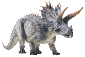 Fototapeta premium Styracosaurus with Spiked Frill Prehistoric Dinosaur Realistic Design Transparent Background
