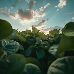 Regenerative Agriculture Vision Lush Soybean Fields Reimagining Sustainable Protein Production with Climate-Resilient Crop Landscapes for Future Food Systems