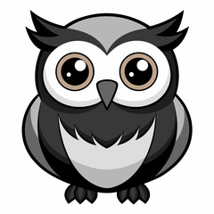 owl on white background