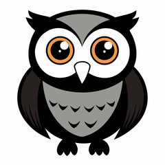 owl on white background