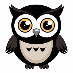 owl on white background