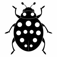 vector illustration of a ladybug