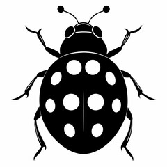 ladybird vector illustration