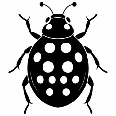 vector illustration of a ladybug
