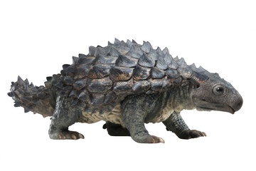 Fototapeta premium Ankylosaurus Dinosaur with Armored Back Full Body Realistic Illustration Transparent Background