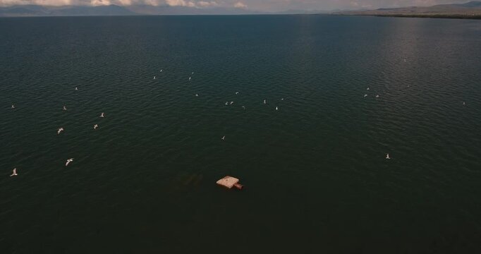 Aerial view of birds flying over the Lake Sevan at sunset in the Gegharkunik Province of Armenia