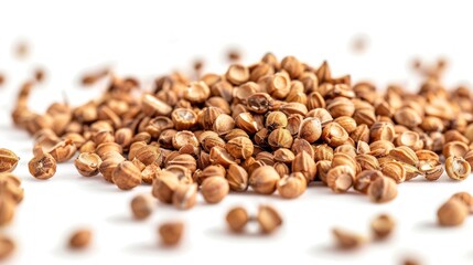 Coriander Seeds on White Background