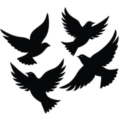 Fototapeta premium Bird group vector silhouette collection
