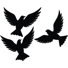Bird group vector silhouette  collection