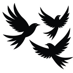 Obraz premium Bird group vector silhouette collection
