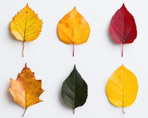 Eco-Chromatic Transformation Minimalist Botanical Gradient Showcasing Seasonal Leaf Evolution for Climate Awareness and Design Innovation