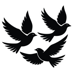Fototapeta premium Bird group vector silhouette collection