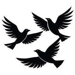 Obraz premium Bird group vector silhouette collection