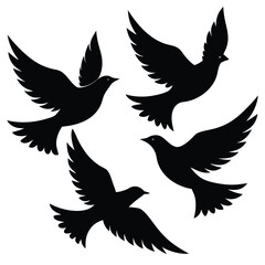 Fototapeta premium Bird group vector silhouette collection