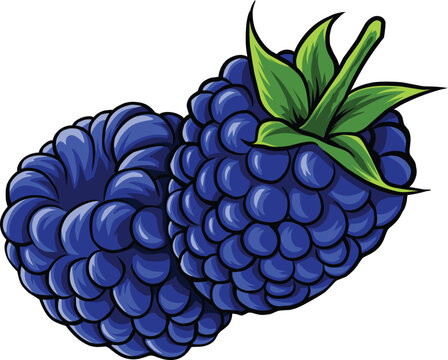 Blue raspberry. Shiny blue raspberry on white background