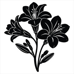 Elegant Black and White Lily Silhouette