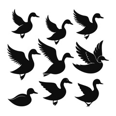 Fototapeta premium Flying Duck icons of silhouette vector illustration on white background