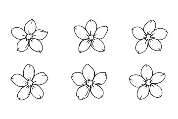 Fototapeta premium Jasmine black line art