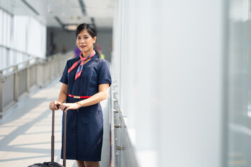 Portrait female Cabin crew or air hostess in airport. Cabin crew, air hostess working in airplane....