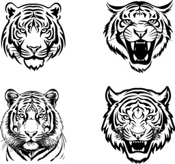 Four tiger head illustrations in black and white, each with distinct expressions.