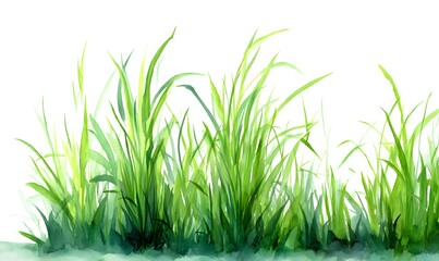 Fototapeta premium Vibrant Green Grass Blades Watercolor Painting Nature Lush Meadow Spring Summer Botanical Illustration Fresh Greenery Detailed Texture White 