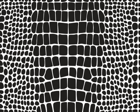 Seamless pattern of alligator skin on a white background	

