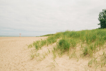 Lush grass meets serene beach under cloudy sky at shoreline
