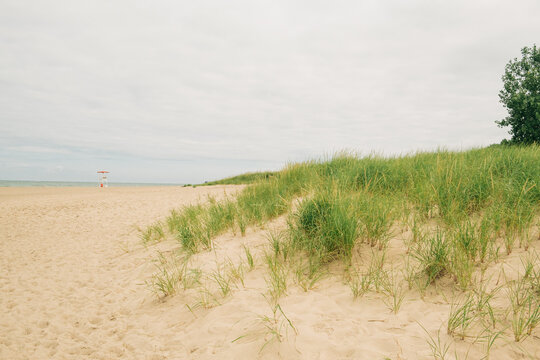 Lush grass meets serene beach under cloudy sky at shoreline
