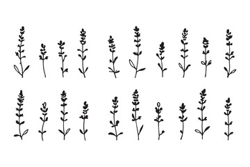Obraz premium Lavender black line art