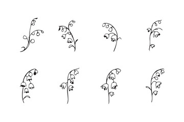 Lily of the Valley line art