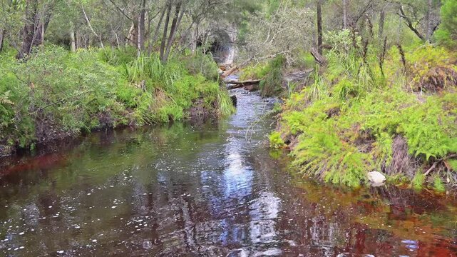 Seary's Creek, Cooloola Coast, Rainbow Beach, rust red tannin stained water swimming hole, natural pigment color colour from trees, travel tourist destination