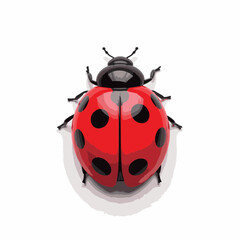 Glossy ladybug illustration on white background, design concept