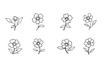 Fototapeta premium Marsh Marigold line art