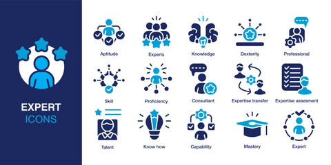 Expert icon set. Containing skill, knowledge, professional, consultant, capability, assessment and more. Solid vector icons collection. Vector illustration.