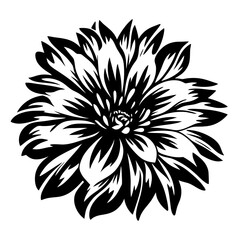 Black and White Stylized Dahlia Flower Illustration Botanical Graphic Design Element