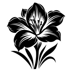 Elegant Black and White Alstroemeria Flower Illustration Graphic Design