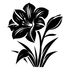 A Black and White Stylized Lily Flower with Bud and Leaves