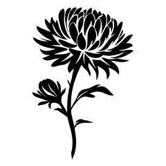 Elegant Black and White Silhouette of a Single Aster Flower with Bud