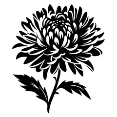 Black and White Illustration of a Single Chrysanthemum Flower with Stem and Leaves