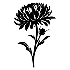Elegant Black Silhouette of a Single Aster Flower with Bud and Stem