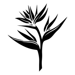 Elegant Bird of Paradise Flower Stylized Black Silhouette Botanical Illustration