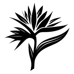 Elegant Black and White Bird of Paradise Flower Graphic Design Illustration