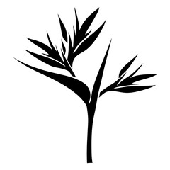 Elegant Black Silhouette of a Bird of Paradise Flower Botanical Illustration