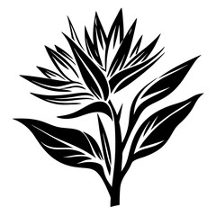 A Striking Black and White Illustration of a Bird of Paradise Flower