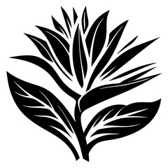 A striking black and white illustration of a bird of paradise flower with bold leaves and petals