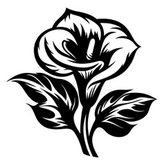 Elegant Black and White Calla Lily Floral Illustration Botanical Art Design