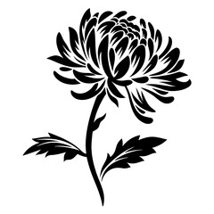 Elegant Black and White Chrysanthemum Floral Design Illustration Botanical Art Graphic