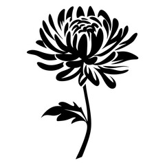 Black and White Stylized Chrysanthemum Flower Illustration Botanical Design Element