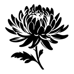 Black and White Stylized Chrysanthemum Flower Blossom Illustration Graphic Design